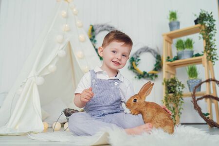 Happy laughing little boy playing with a baby rabbit, feeding it, hugging real bunny pet and...