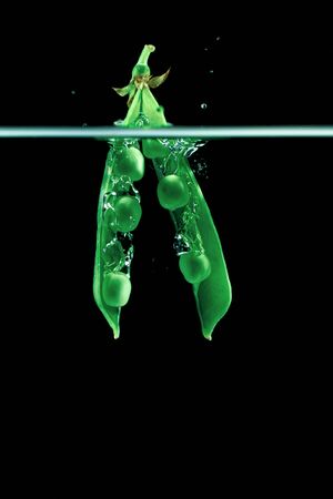 Fresh pea dropped into a water on dark background isolate.の写真素材