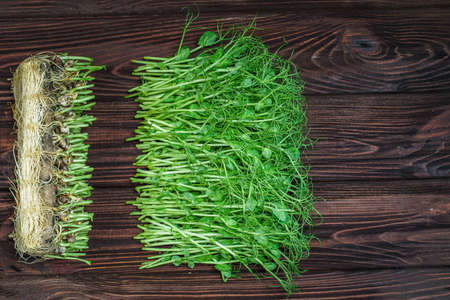 Cutted microgreen pea sprouts on old wooden table. Vegan and healthy eating concept. Growing...