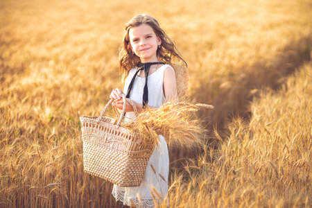 Fashion photo of a little girl in white dress and straw hat at the evening wheat field.の写真素材