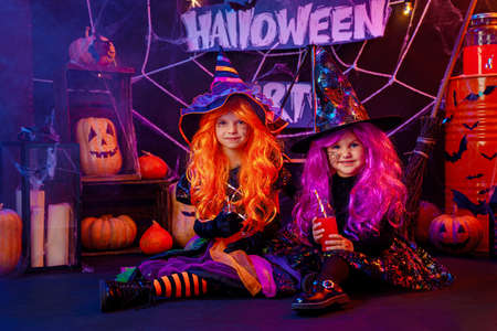 Two Little beautiful girls in a witch costumes celebrates Happy Halloween party in interior with pumpkins.の写真素材