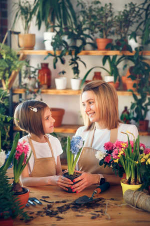 Cute child girl helps her mother to care for plants. Mom and her daughter engaged in gardening. Happy family in spring day.の写真素材