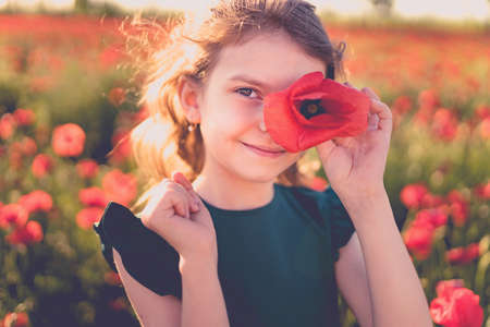 beautiful girl in poppy field enjoys the beauty and aromas.の写真素材