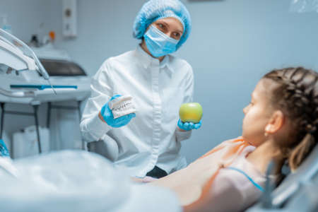 Friendly female dentist orthodontist educating little girl patient using teeth model and apple .の写真素材