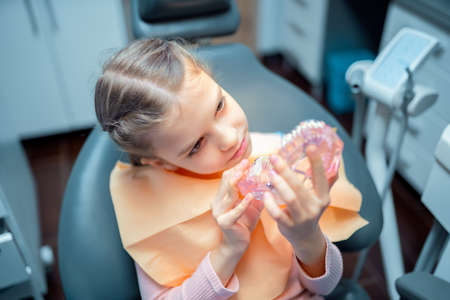 Close up of little girl examines the model of the jaw with interest while sitting in dental chair
