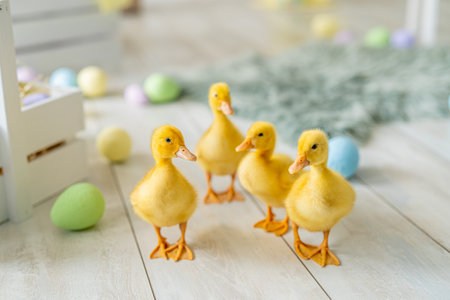 Easter studio decoration. ducklings walks on background of colorful dyed eggs, wooden boxes.の写真素材