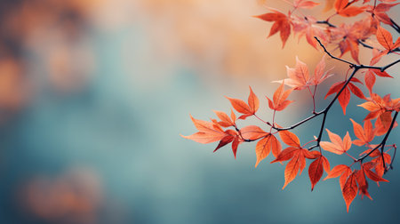 Closeup of leaves on a branch in autumn. autumn background.の素材