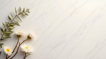 Delicate white flowers and lush green leaves are thoughtfully arranged on a smooth marble surface, creating a serene and inviting atmosphere in natural light.の素材