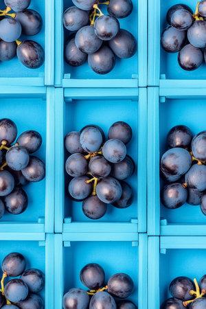 Clusters of luscious grapes are meticulously arranged in bright blue crates, showcasing their rich color and smooth texture. This artistic display emphasizes simplicity and freshness.の素材