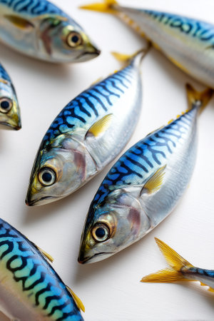 Fresh fish with vibrant blue stripes arranged neatly on a clean white surface. Bright colors highlight their freshness and quality. Concept of seafood, culinary arts, restaurant industry.の素材