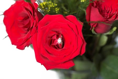 Red Rose Proposal