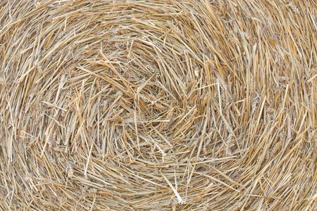 Background with detail of rollof strawの写真素材