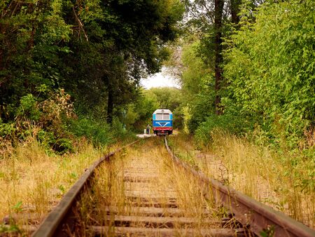 Rails go into the distance. blue locomotive among green trees. Natural tunnel.