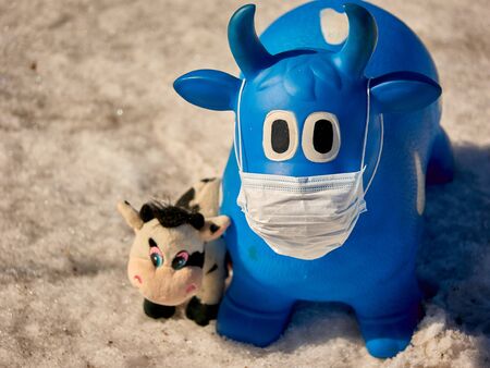 toy cows with protective face mask.の写真素材