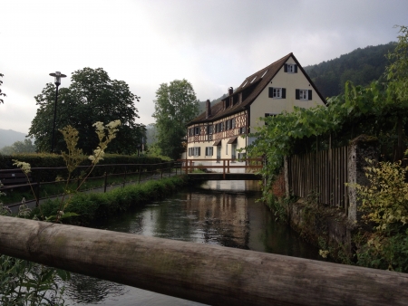 house by the riverの素材