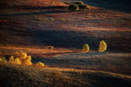 Autumn on the damの写真素材