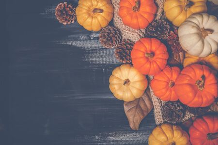 Top view of Halloween day and Thanksgiving day, orange pumpkin, yellow pumpkin, white pumpkin,...