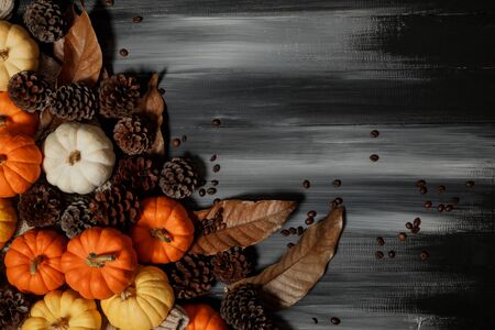 Top view of Halloween day and Thanksgiving day, Pumpkin, Knitting sweater, pinecone on dark background with copy space for text. Halloween concept, Thanksgiving concepts.の写真素材