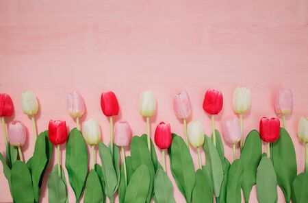 Beautiful tulips on pink background, top view, frame, border. Lovely greeting card with tulips for Mothers day, wedding or happy event concepts. Copy space for text.の写真素材