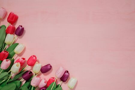Beautiful tulips on pink background, top view, frame, border. Lovely greeting card with tulips for Mothers day, wedding or happy event concepts. Copy space for text.の写真素材