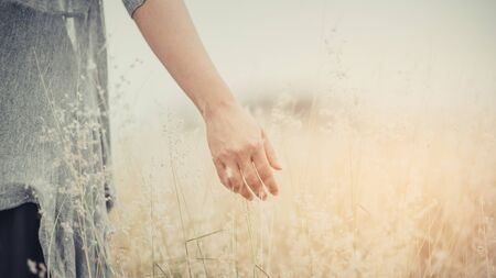 Flowers and the woman palm in the field. Lit evening sun. Carefree Happy Woman Enjoying Nature on grass meadow on top of mountain cliff with sunrise. Beauty Girl Outdoor. Freedom concept.の写真素材