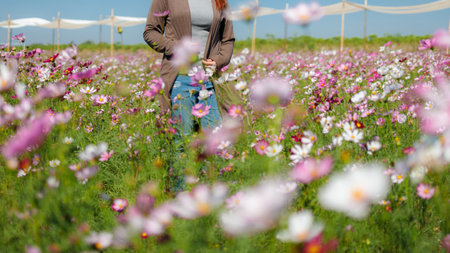 Beautiful girl in the cosmos field on a sky blue background, Beautiful lanscepe in asia.の写真素材