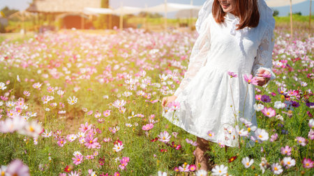 Beautiful girl in the cosmos field on a sky blue background, Beautiful lanscepe in asia.の写真素材