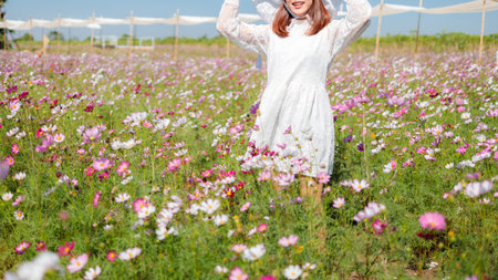 Beautiful girl in the cosmos field on a sky blue background, Beautiful lanscepe in asia.の写真素材