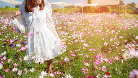 Beautiful girl in the cosmos field on a sky blue background, Beautiful lanscepe in asia.の写真素材