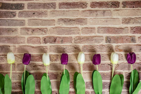 Beautiful tulips on brick wall background, Lovely greeting card with tulips for Mothers day, wedding or happy event concepts. Copy space for text.の写真素材