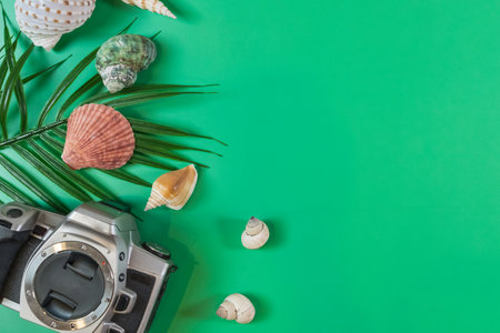 The beach accessories on the green background. Summer is coming concept. vacation and travel concept. copy space.の写真素材
