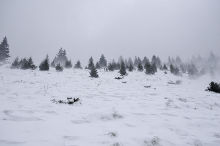 Winter landscape in the mountains with snow covered forest and blue cloudy skyの写真素材