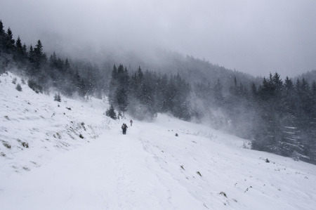 Winter landscape in the mountains with snow covered forest and blue cloudy skyの写真素材