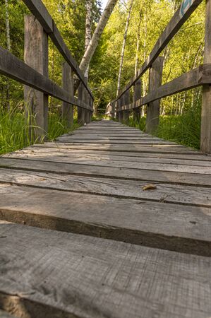 wooden footbridge through the swamp with bubbling lakesの写真素材