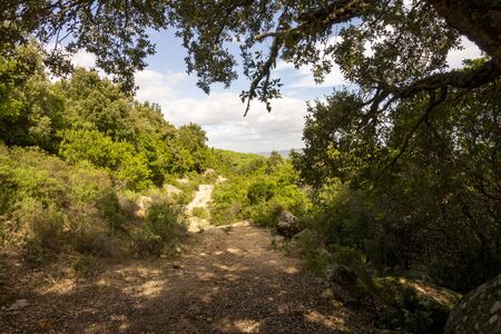 Colorful autumn landscape in the mountainの写真素材