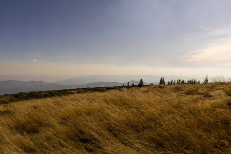 Colorful autumn landscape in the mountain