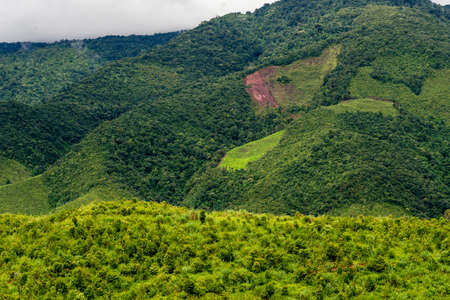 nature mountains and trees in the rainy seasonの写真素材