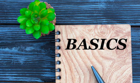 BASICS - word on a beautiful dark background with cactus. Business conceptの写真素材