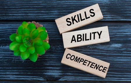 SKILLS, ABILITY, COMPETENCE, words on wooden blocks on a beautiful dark background with cactus. Business conceptの写真素材