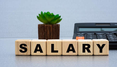 SALARY - word on wooden cubes against the background of calculator and cactus. Business conceptの写真素材