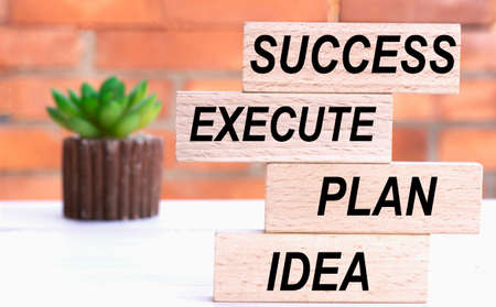 IDEA, PLAN, EXECUTE, SUCCESS the words on cubes against the background of a brick wall with a cactus. Business concept.の写真素材