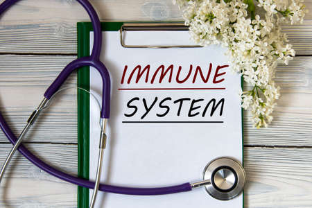 IMMUNE SYSTEM - words on a white sheet with a gentle lilac and a stethoscope. Medical conceptの写真素材