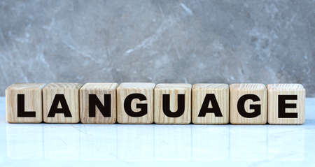 concept word language on cubes on a beautiful gray backgroundの写真素材