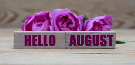 HELLO AUGUST - words on wooden blocks on a light background with pink roses