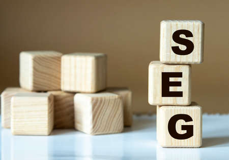 SEG (Standardization Evaluation Group) - acronym nadrevyannye cubes on a brown backgroundの写真素材