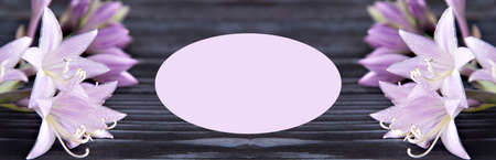 Lilac hosta flowers on a wooden black background. Banner with place to recordの写真素材