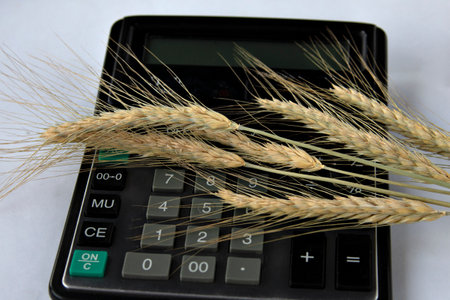 On the table is a black calculator with ears of wheat. business conceptの写真素材