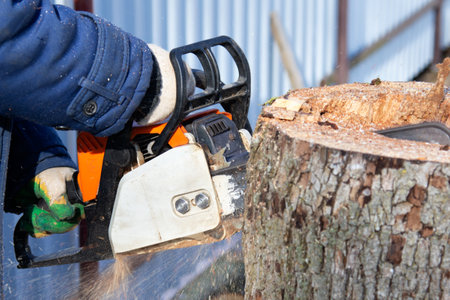 Close-up of human hands cutting tree trunk with chainsawの写真素材