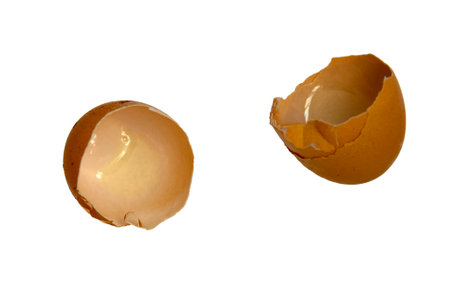 brown eggshell broken, isolated on white backgroundの写真素材