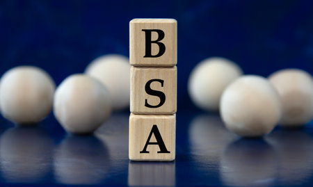 BSA - acronym on wooden cubes on a blue background with wooden balls. info conceptの写真素材